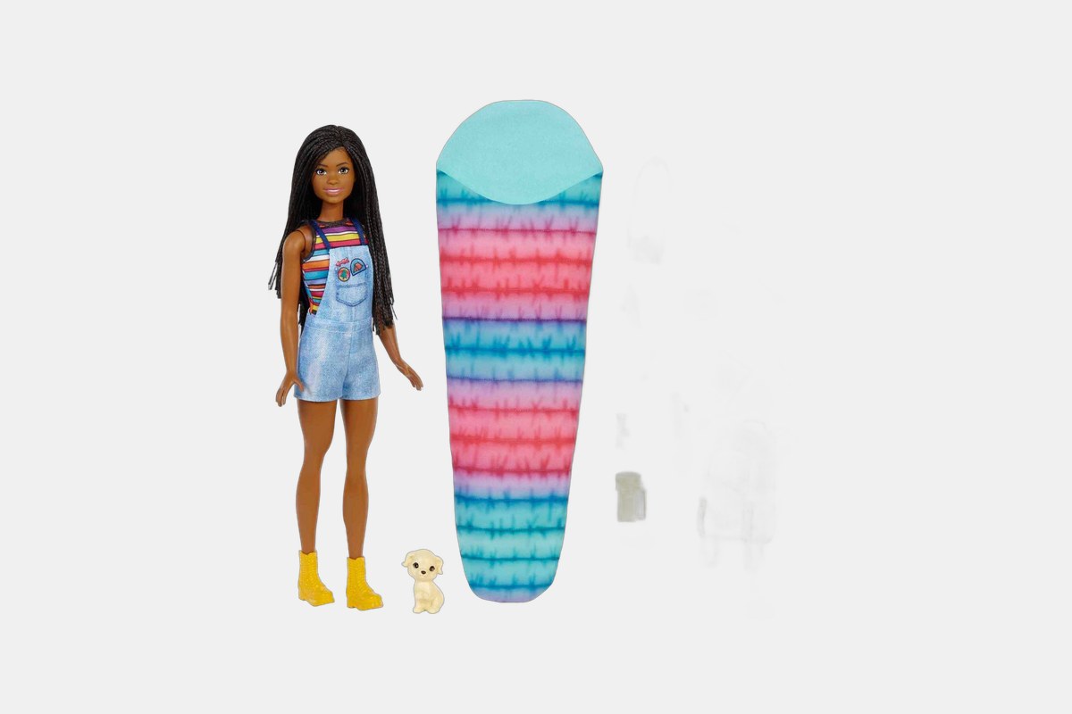 Barbie It Takes Two Brooklyn Camping Doll