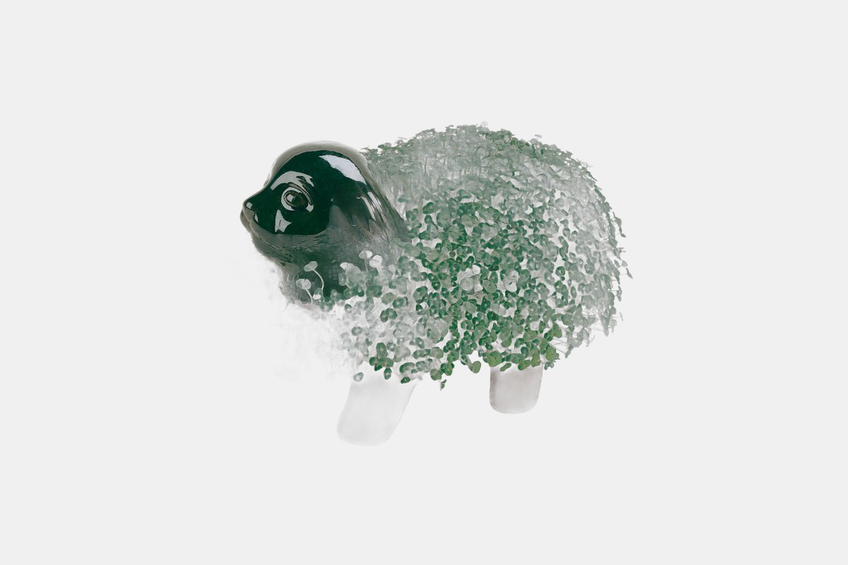 Best Gifts For 13 Year Old Girls