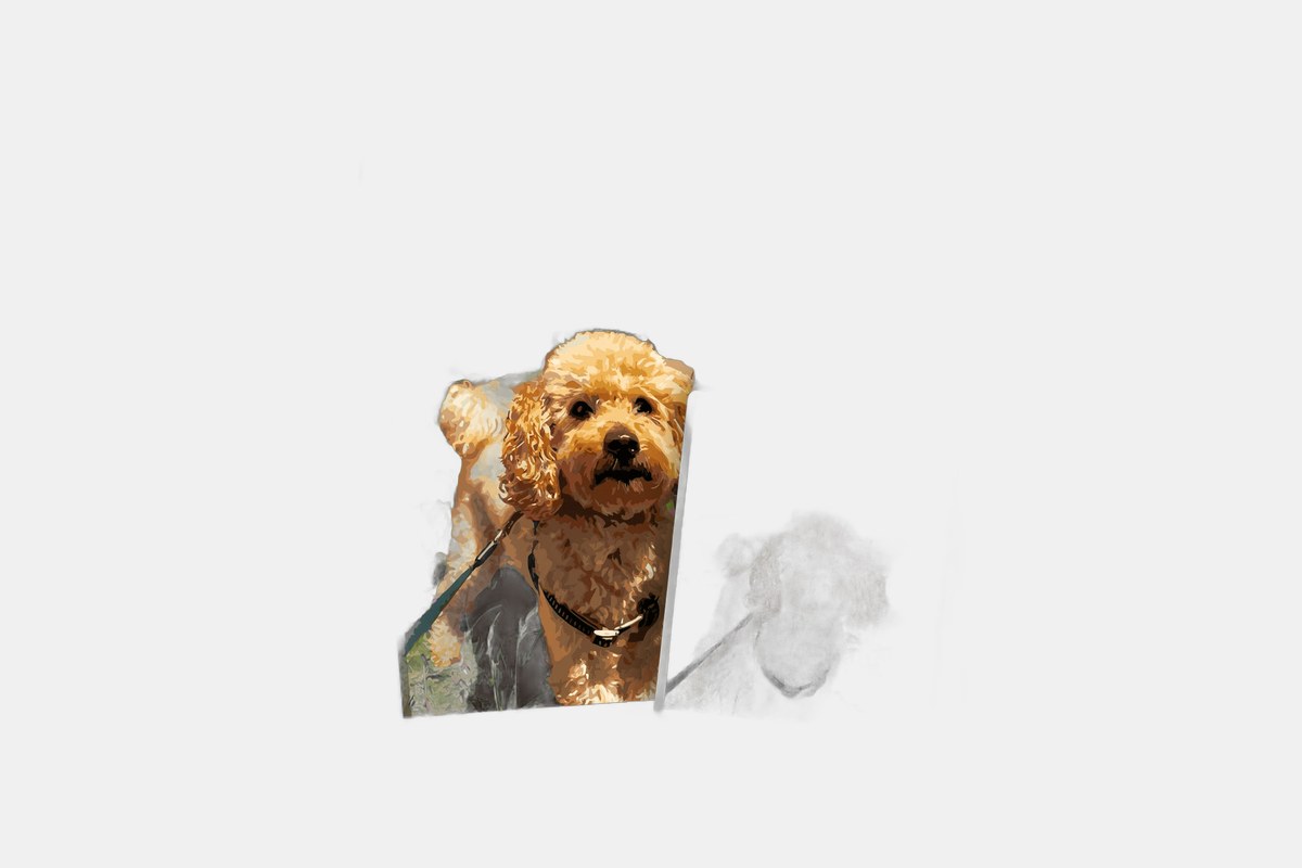 Custom Paint-By-Numbers Kit