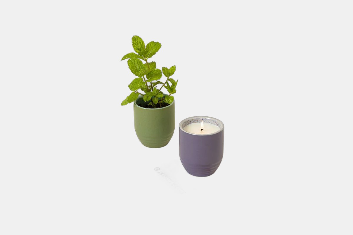 Flame to Flora Seed Kit Candle