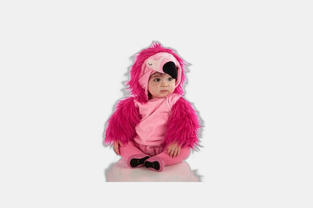 Pottery Barn Kids Baby Flamingo Halloween Costume